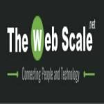 The Web Scale Profile Picture